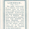 City arms, Limerick.