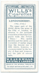 City arms, Londonderry.
