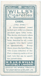 City arms, Cork.