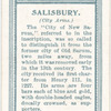 City arms, Salisbury.