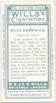 Borough arms, West Bromwich.