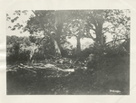 The "Bloody Angle" looking toward San Juan Hill, Cuba, during the attack on San Juan Hill, 1898