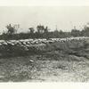 Left of the 24th Infantry entrenchments during the siege of Santiago, Cuba, July 4, 1898