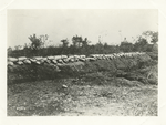 Left of the 24th Infantry entrenchments during the siege of Santiago, Cuba, July 4, 1898