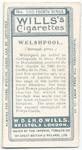 Borough arms, Welshpool, Wales.