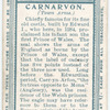 Town arms, Carnarvon.