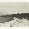 Trenches on San Juan battlefield, San Juan, Cuba, 1899.