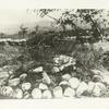 Graves of men of the 21st Infantry on San Juan Hill, who were killed during siege of Santiago, Cuba, 1898.