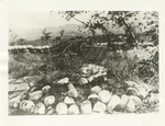 Graves of men of the 21st Infantry on San Juan Hill, who were killed during siege of Santiago, Cuba, 1898.