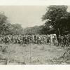 Round up Spanish prisoners after attack on El Caney, Cuba, July 1, 1898.