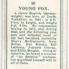 Young Fox.
