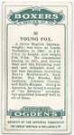 Young Fox.