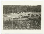 U.S. camp in Cuba. Caption not available.