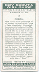 Cobra.
