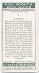 Cuckoo.