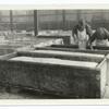 Trough where dough is placed and left for 5hrs to raise. Enough dough for 450 loaves of bred is placed in one of these troughs. Advance Section No. 1, Q.M.C. Is. sur Tille, Cote d'Or, Feb. 3, 1919.