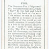 Fox.