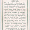 Hound.