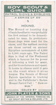 Hound.