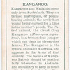Kangaroo.