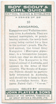 Kangaroo.