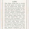 Lion.