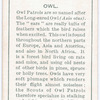 Owl.