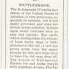 Rattlesnake.