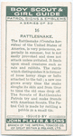 Rattlesnake.