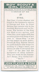 Stag.