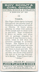 Tiger.