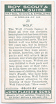 Wolf.