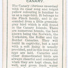 Canary.
