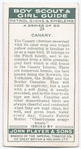 Canary.