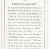 Forget-Me-Not.