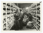 Sacking the bread ready for shipment at mechanical bakery. Advance Section No. 1, QMC. Is. sur Tille. Cote d' Or. Feb. 5, 1919.