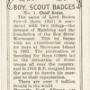 Chief Scout.