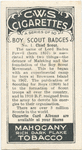 Chief Scout.