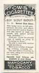 Second Class Scout.