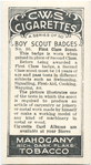 First Class Scout.