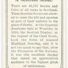 A Scottish Scout.