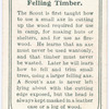 Felling Timber.