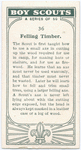 Felling Timber.