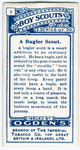 A Bugler Scout.