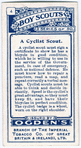 A Cyclist Scout.