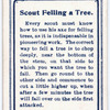 Scout Felling a Tree.