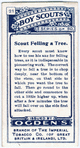 Scout Felling a Tree.