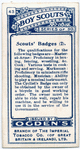Scouts' Badges (2).