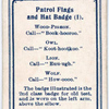 Patrol Flags and Hat Badge (1).