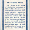 The Silver Wolf.